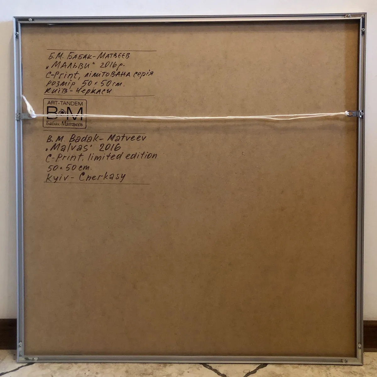 Мальви. Авторський принт.-4