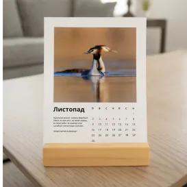 Календар ПТАШ 2026