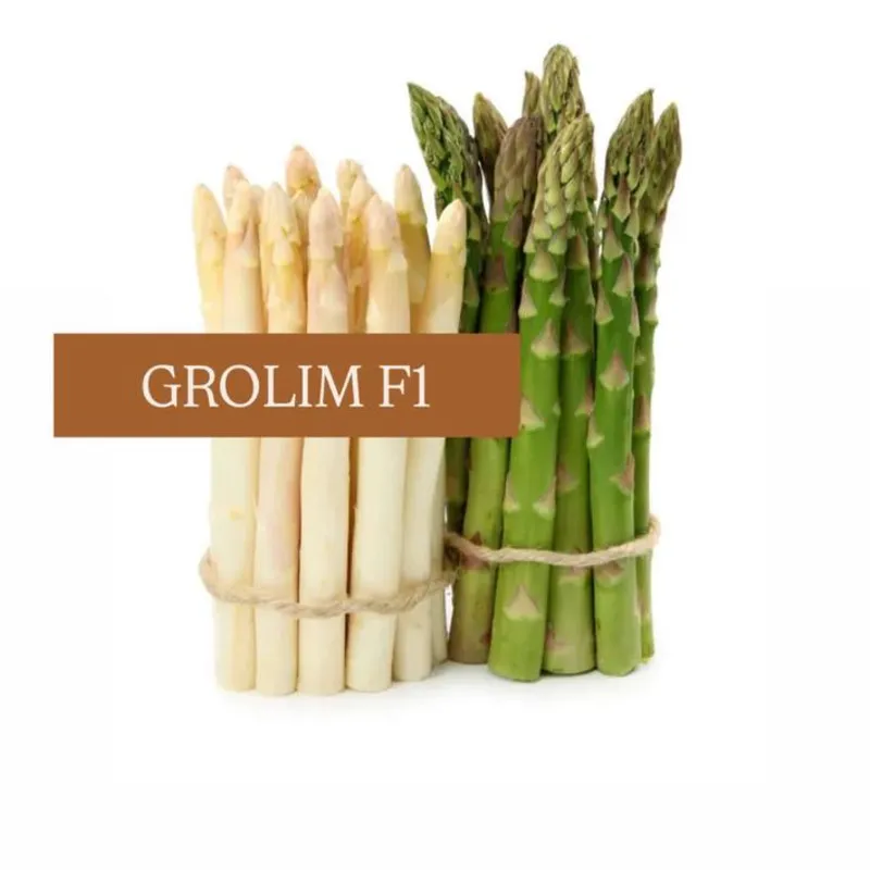 ПЕРЕДЗАМОВЛЕННЯ 10 ШТ Кореневища спаржі GROLIM F1  (відправка - весна 2026)
