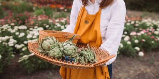 СВІЖЕ З ПОЛЯ