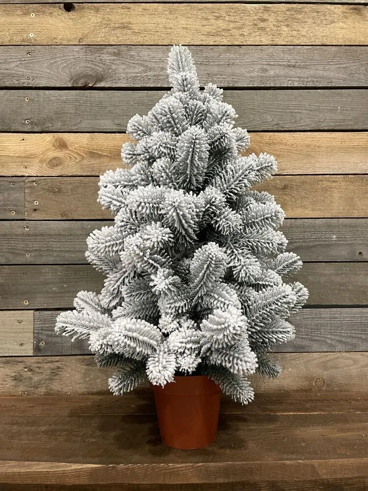 Ялинка лита Premium у горщику 70 см засніжена