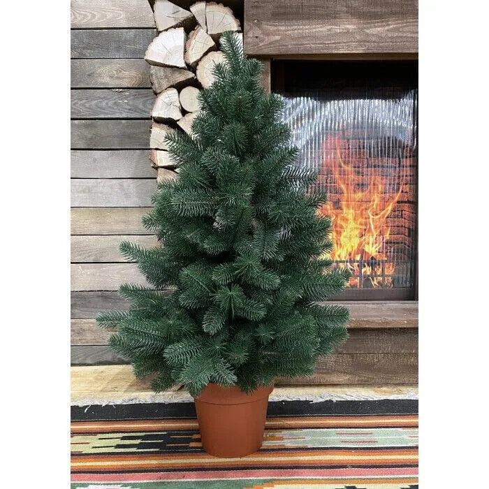 Ялинка лита Premium у горщику 90 см зелена