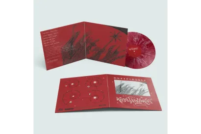 Платівка Пиріг і Батіг - Колядницький (LP)