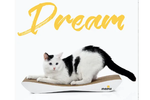 Когтеточка Dream SAY MEOW!