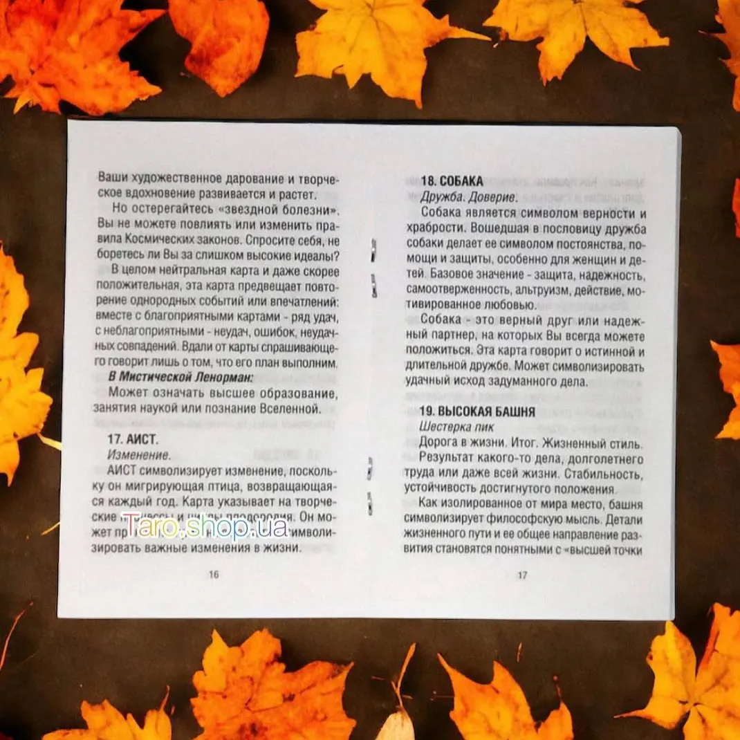 Карти Таро Містичний Ленорман-3