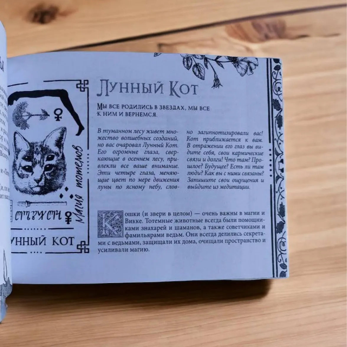 Подарунковий набір Віканський оракул Тіней. Заклинання Місяця, Ритуали Сонця-3